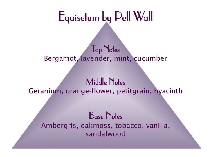 Equisetum Scent Pyramid